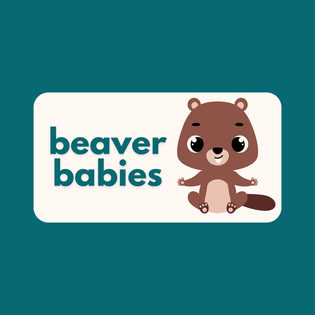 Beaver Babies | Summer Sessions | Beaver Lake Nature Center Programs