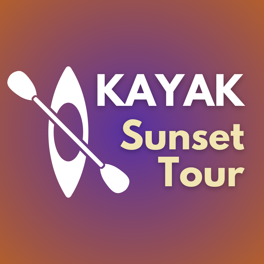 Sunset Kayak Tour | July 13 & August 10 | Beaver Lake Nature Center ...